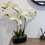 아파트 Comfort And Tranquility, Like At Angers Centre *
