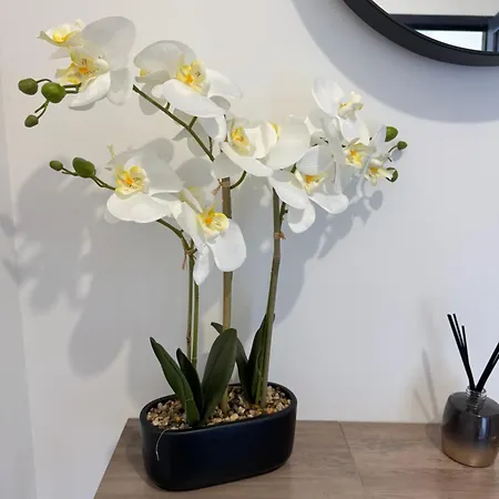 Appartement Comfort And Tranquility, Like At Angers Centre *