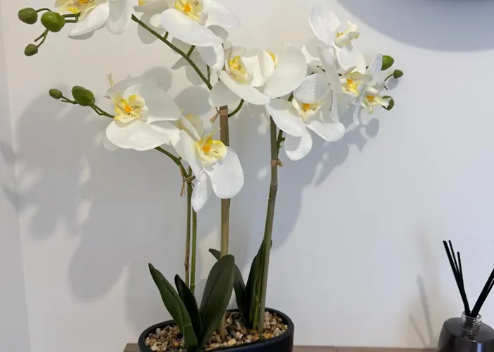 Appartement Comfort And Tranquility, Like At Angers Centre *